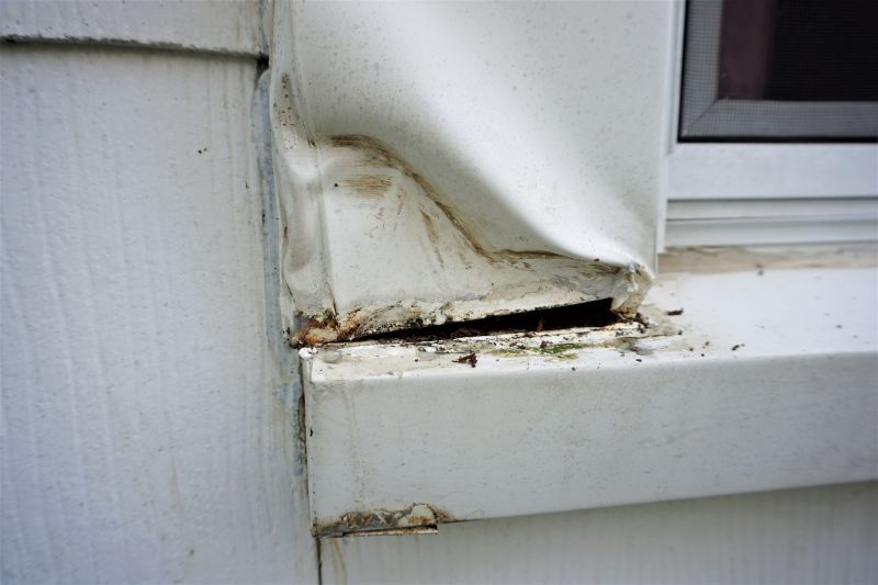 Woodpecker Damage Repair