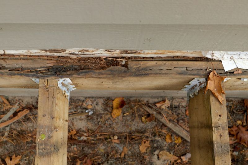 Woodpecker Damage Repair