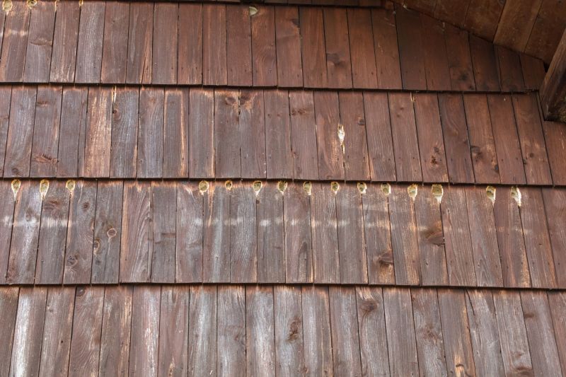 Woodpecker Damage on Siding